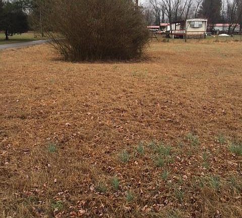 2nd image of 22 Arkie Ave