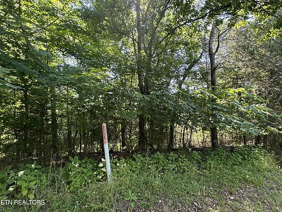 5th image of 118 Oak Hammock Ln Lot 16
