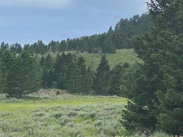 9A & 9B Shining Mountains Loop Rd Unit 3, Ennis, MT 59729