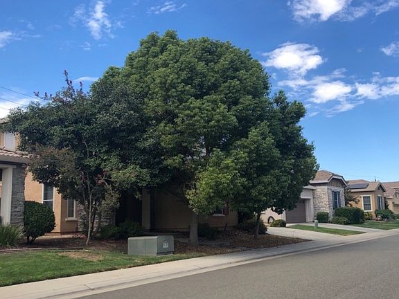5th image of 1114 Montague Ln