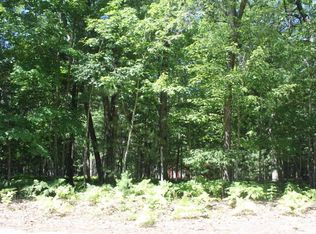 9903 N Granger Rd, Irons, MI 49644