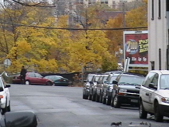 Seconds to the train and shopping