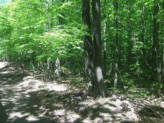 3rd image of 4.85 ACRES Joes Rd