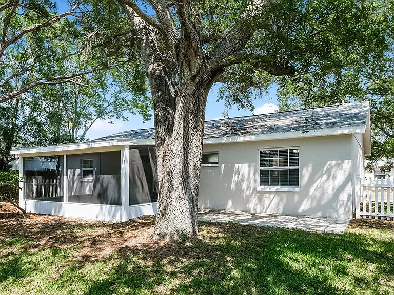 714 Crimson King Trce — Photo 16