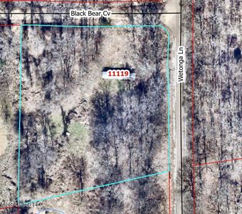 11119 Black Bear Cv, Hernando, MS, 38632