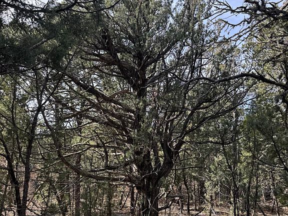 5th image of 1-85-81 Entrada De Cibola