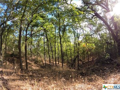 Rosanky Rd Tract 9, Holland, TX, 76534