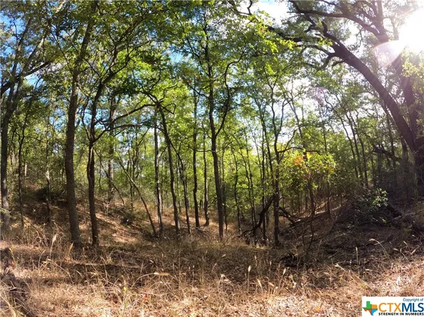 Rosanky Rd Tract 9, Holland, TX 76534