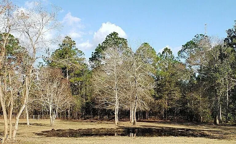 6254 Shady Creek Dr — Photo 20