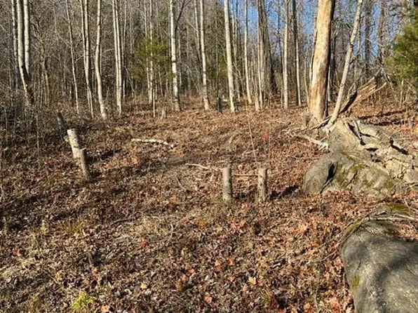 0 Little Catawba Creek Rd, Troutville, VA 24175