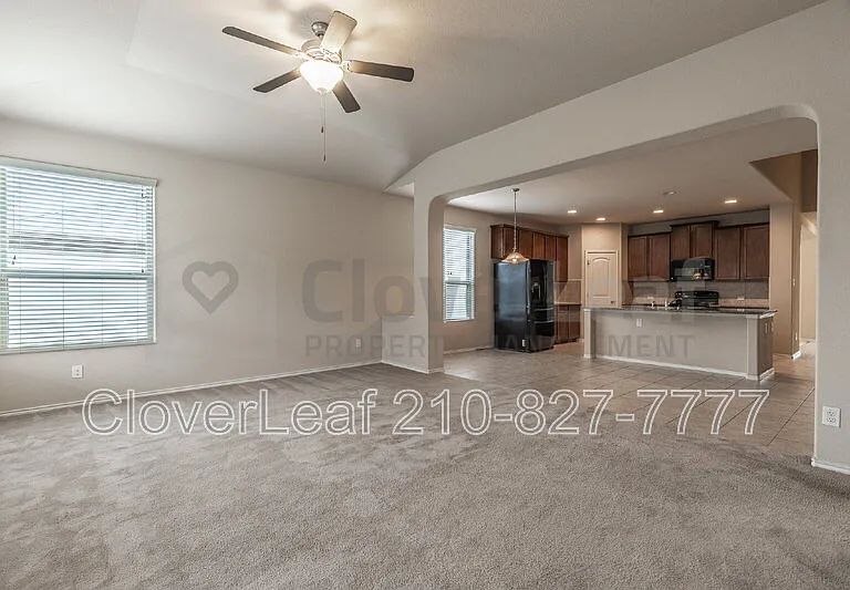 3734 Ox Eye Daisy — Photo 12