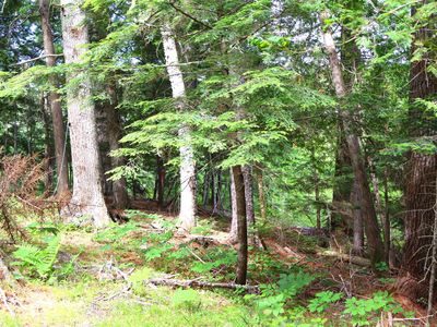 M3L51,52 Airline Road, Ellsworth, ME, 04605