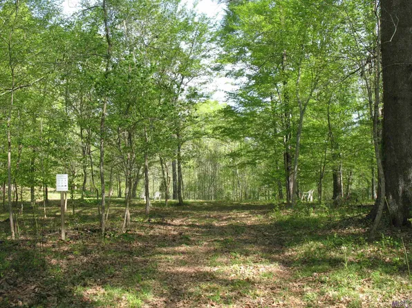 5850 Alexander Dr, Saint Francisville, LA 70775