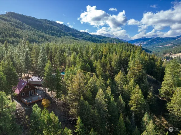 21 N Airstrip Road, Twisp, WA 98856