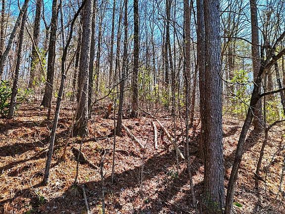 2nd image of 1728 Spring View Ln