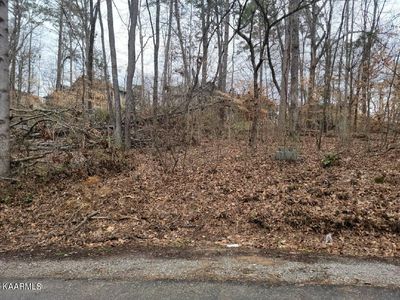 149 Kawga Way, Tellico Plns, TN, 37774