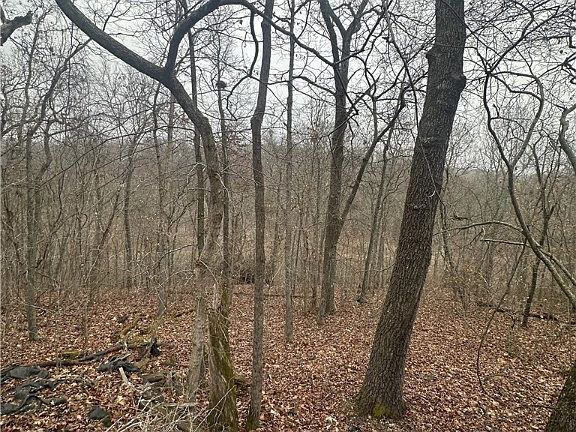 3rd image of 30 Falcon Ln #30