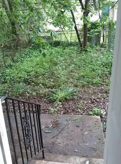 Yard