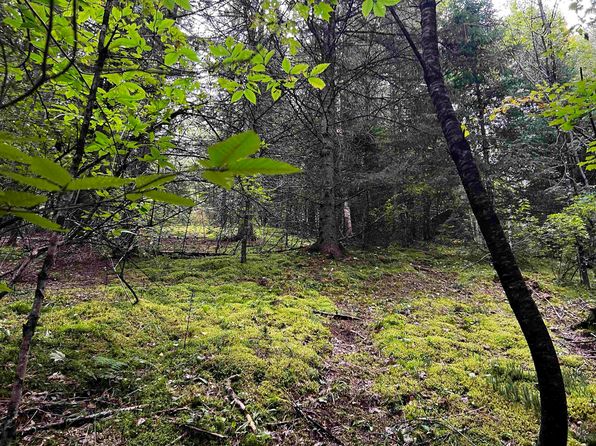 7B Garden Drive, Burke, VT 05832