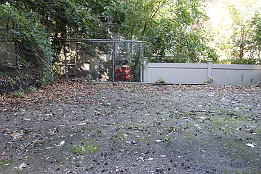 Rented by Lucky Apt Inc