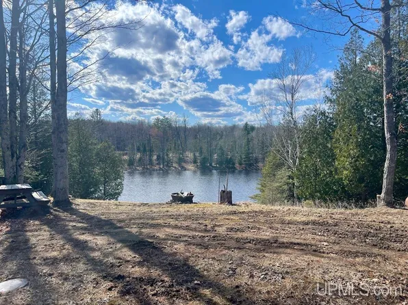 H5 Road, Cornell, MI 49818