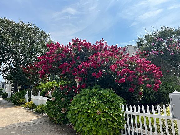 Private garden in bloom