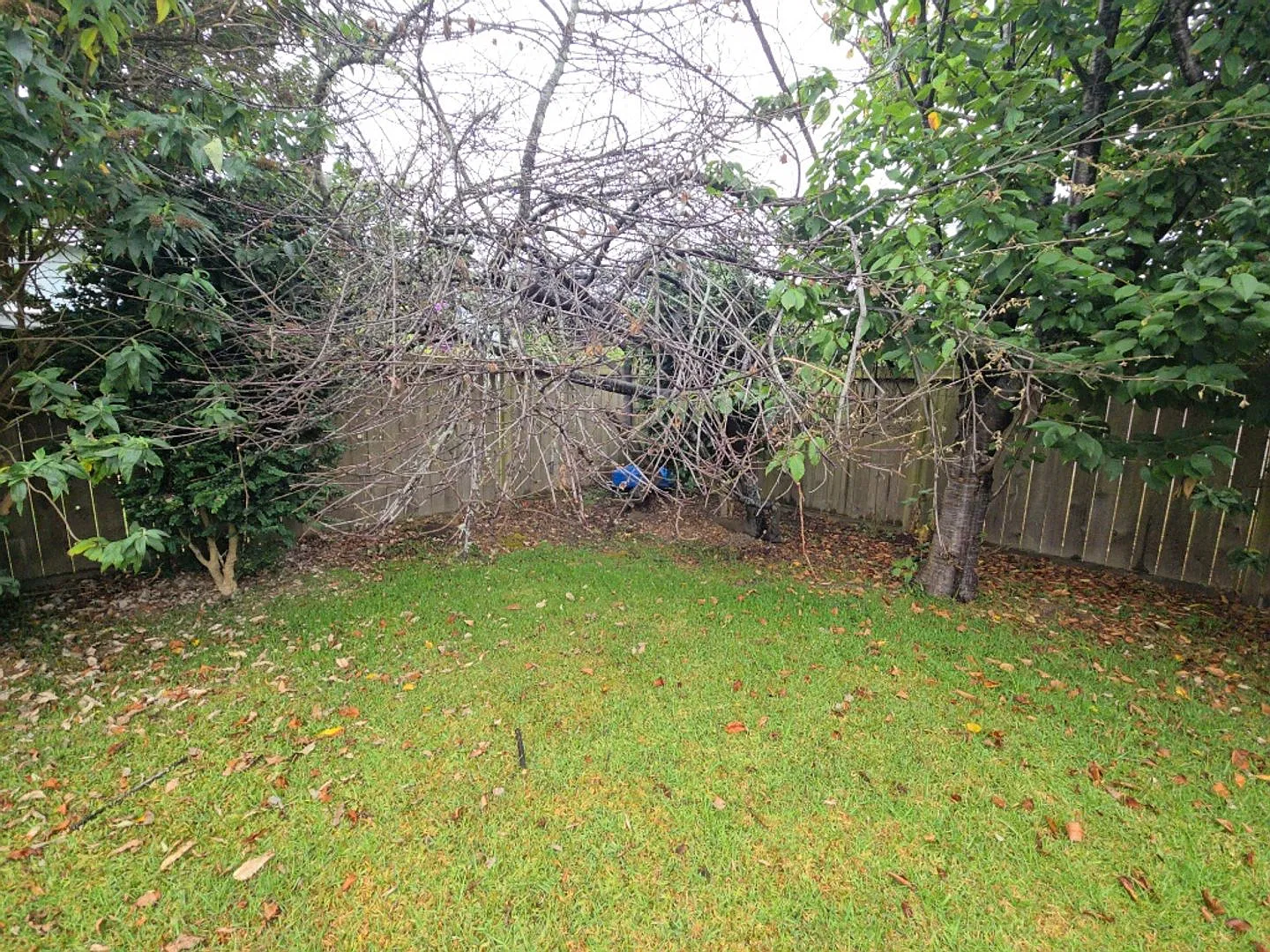 1655 - 1659 Fischer Ave. PRM: Andrew  — Photo 4