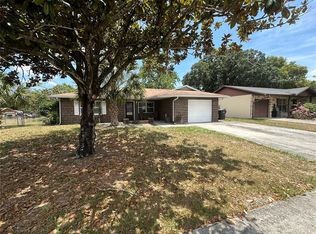 11402 Buchanan Ln, Seffner, FL 33584