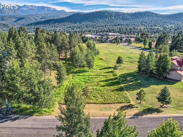 921 Heather Ct, Woodland Park, CO 80863