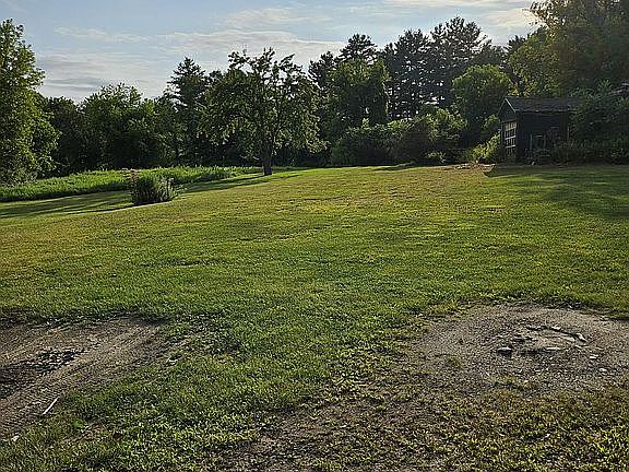Back yard
