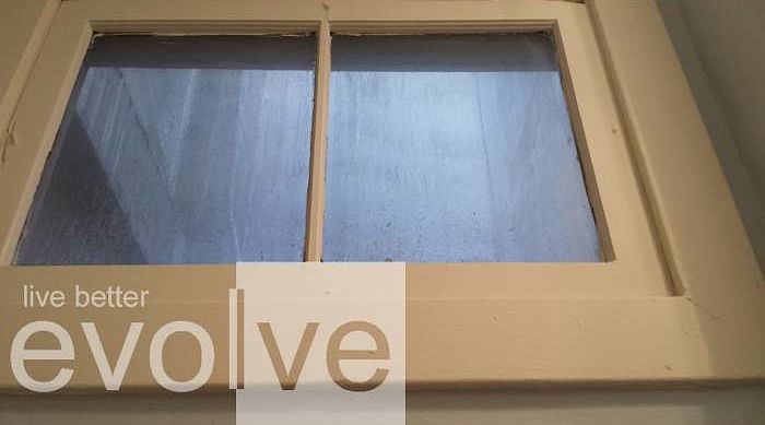 Skylight Window