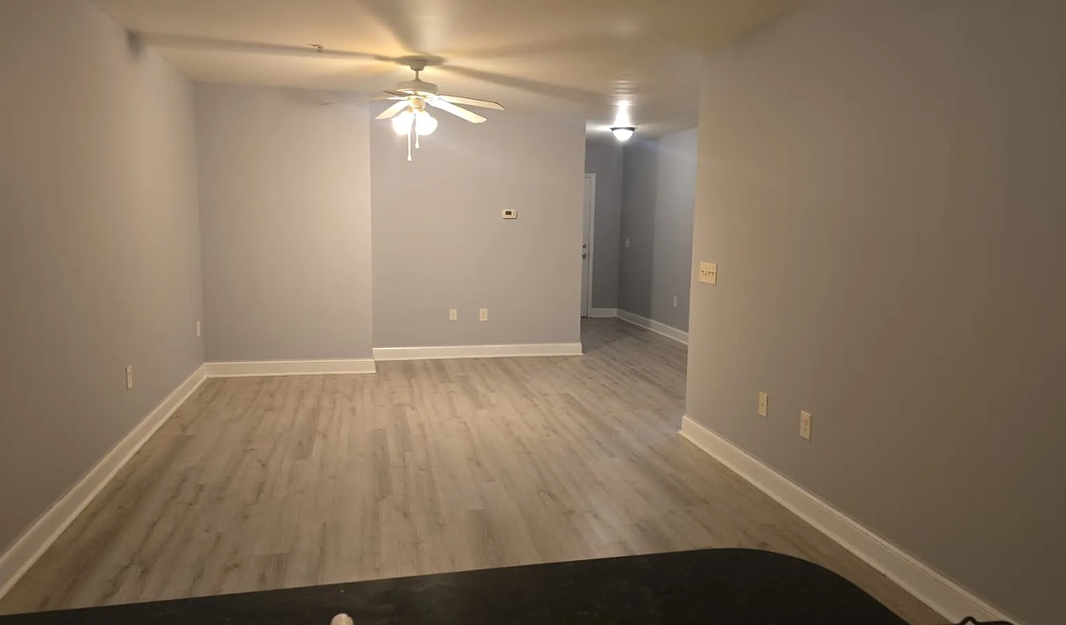 2 bed, 1300 sqft, $1,350 — Photo 3