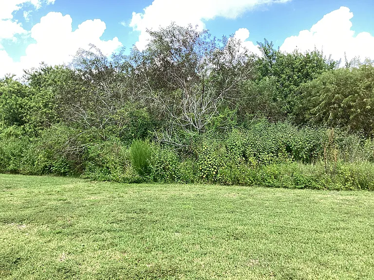 13418 White Sapphire Rd — Photo 17