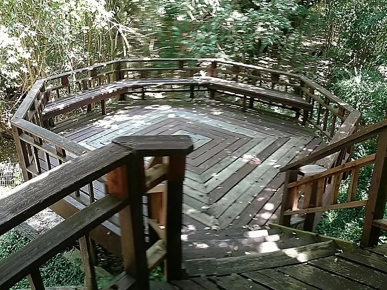 Two decks overlook creek and passing wildlife