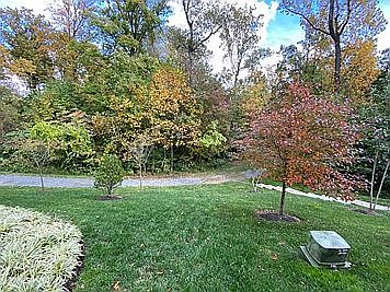 4th image of 10704 Cameron Glen Dr