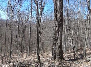 9 Stone Camp Rdg, Davis, WV 26260