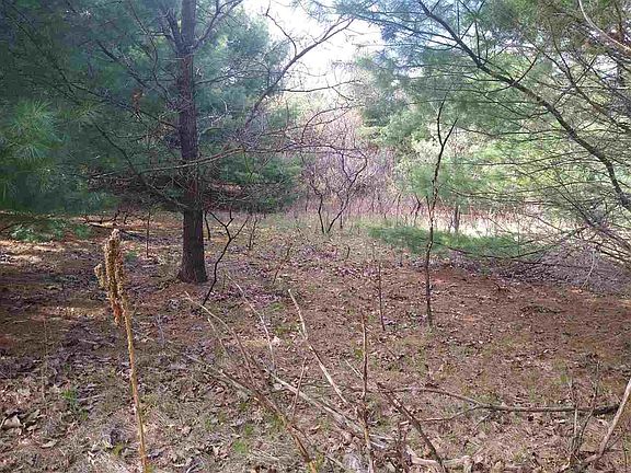 3rd image of L26 Fern Dr
