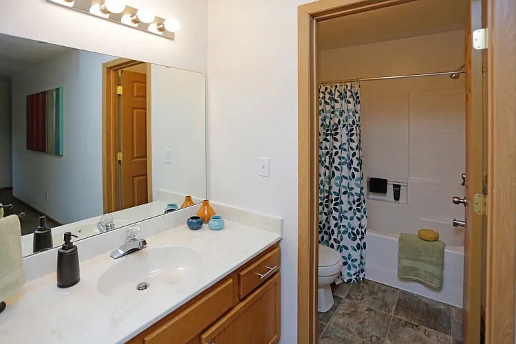 Bathrooms with separate vanity area
