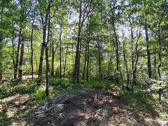 4th image of 17 W Rapids Rd
