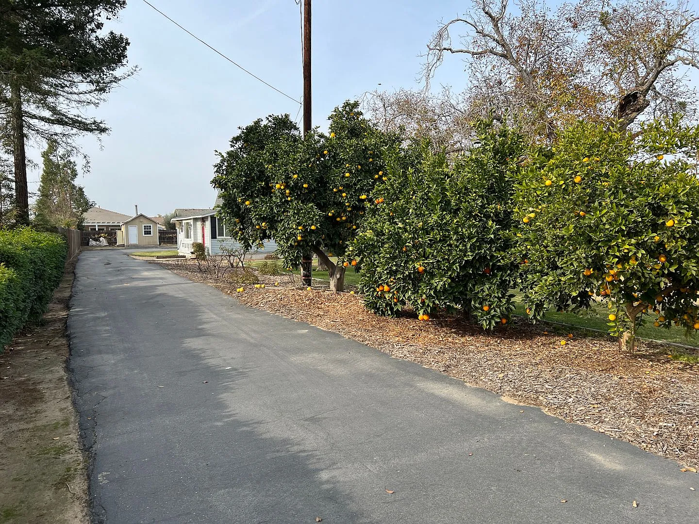 Nostalgic 3-bedroom Farmhouse in Hughson! — Photo 2