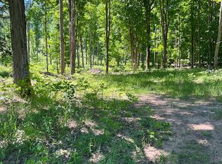 Ziehm Rd, Bear Lake, MI 49614