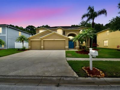 15815 Muirfield Dr, Odessa, FL, 33556