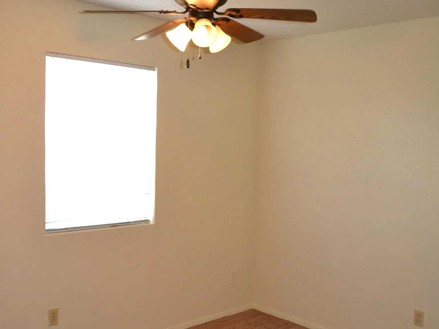 1501 Alpine — Photo 3