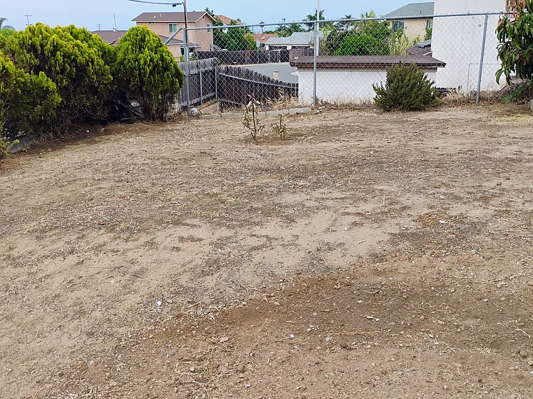 Front yard