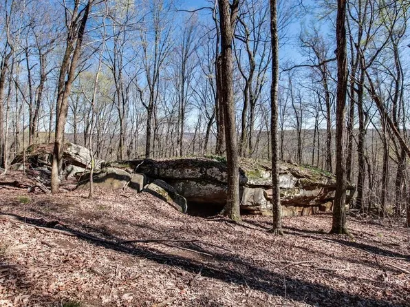 8 Long Mountain Trl, McMinnville, TN 37110