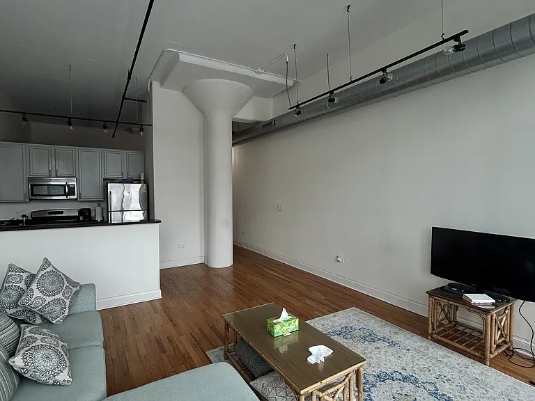 1224 W Van Buren St #615 — Photo 8