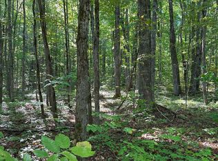 0 Musser Rd., Mancelona, MI 49659
