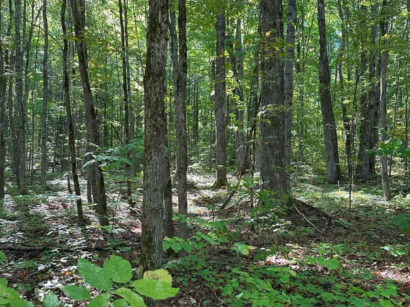 0 Musser Rd., Mancelona, MI 49659