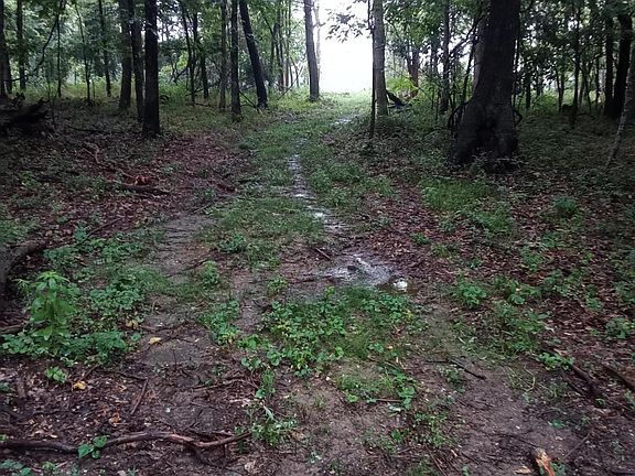 5th image of 000 Fraker Road