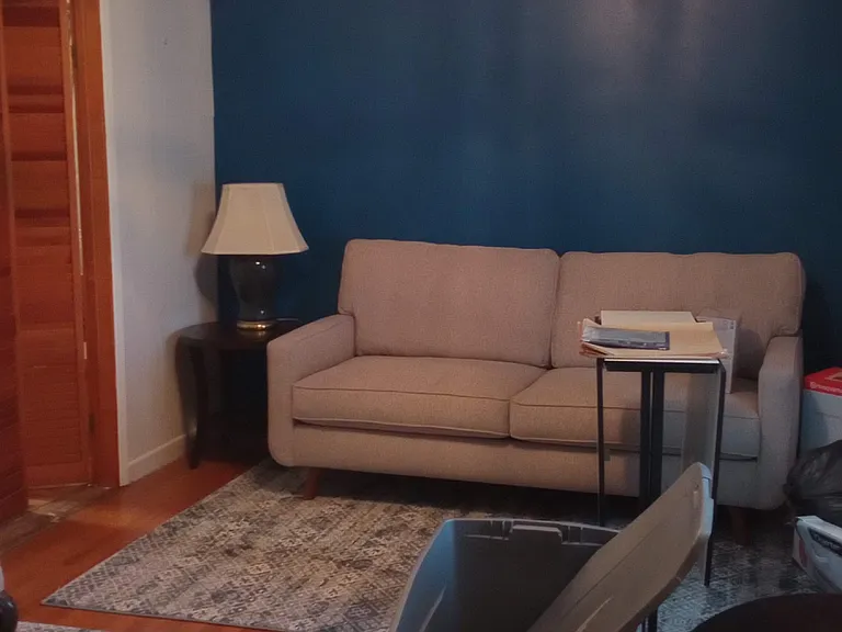 Living Room Blue Accent Wall